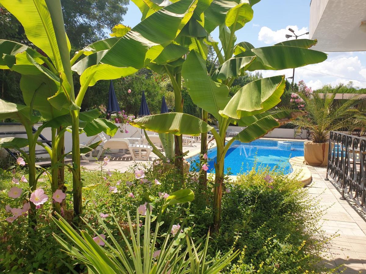 Hotel Feniks לוזנטס מראה חיצוני תמונה